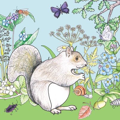 Little Nature Explorers Range - Squirrel & Friends