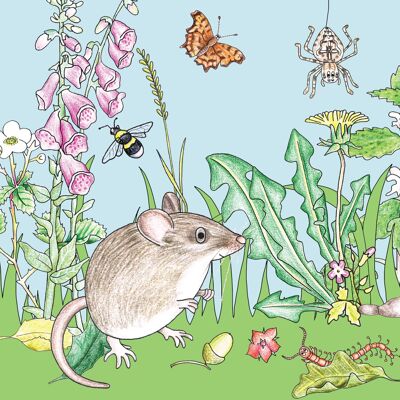 Little Nature Explorers Range - Mouse & Friends