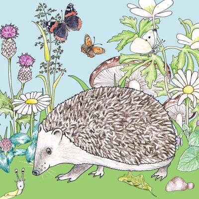 Little Nature Explorers Range - Hedgehog & Friends