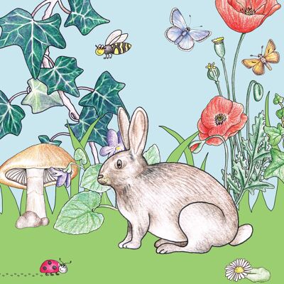 Little Nature Explorers Range - Rabbit & Friends