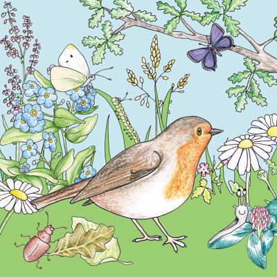 Little Nature Explorers Range - Robin & Friends