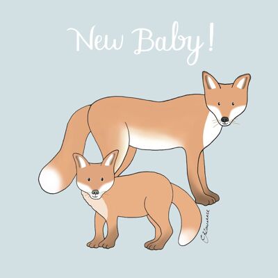 Occasions Range - New Baby Fox Cub