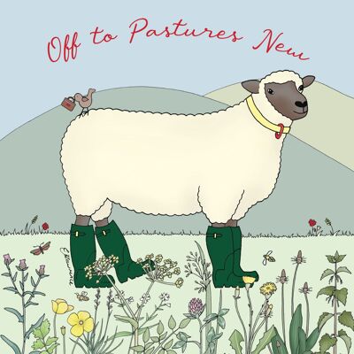 Occasions Range - Off to Pastures New