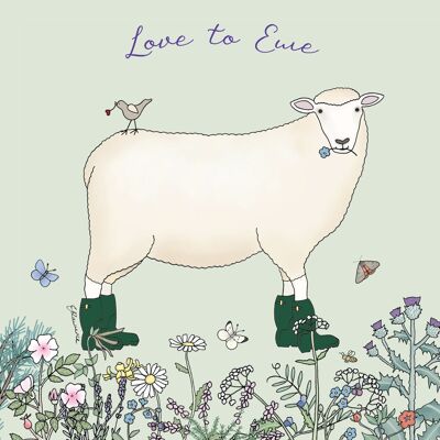 Occasions Range - Love to Ewe