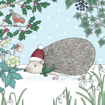 Christmas Range - Hedgehog