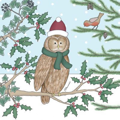 Christmas Range - Owl