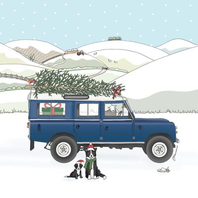 Christmas Range - Collecting the Tree
