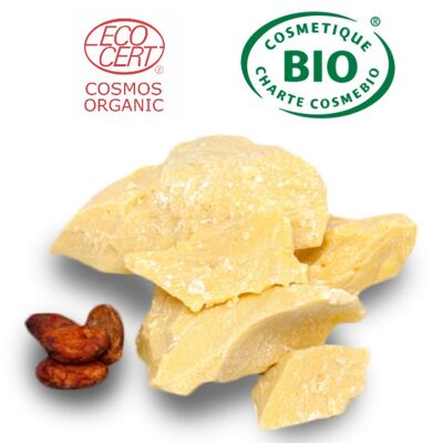 Raw Organic Cocoa Butter 100G | COSME BIO and ECOCERT certified