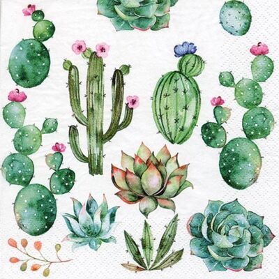 (S) Ti Flair Lunch Napkins Cactus & Succulents