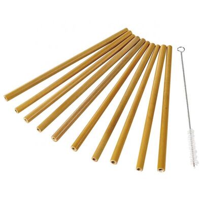 Bambus Strohhalme Set/10