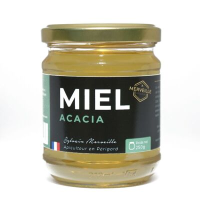 Miel de acacia - Périgord - 250g