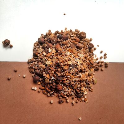 GRANOLA DI ROMU sfusa da 5 kg