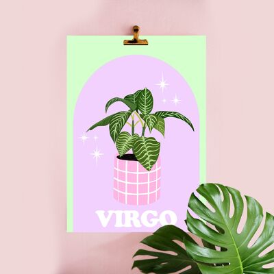 42- Botanical Plant Illustration, Art Print, Pastel colours, Virgo, Horoscope, starsigns, Contempoary Word art, A4 A3 A2 A1