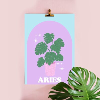 51- Botanical Plant Illustration, Art Print, Pastel colours, Aries, Horoscope, starsigns, Contempoary Word art, A4 A3 A2 A1