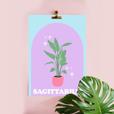 47- Botanical Plant Illustration, Art Print, Pastel colours, Sagittarius, Horoscope, starsigns, Contempoary Word art, A4 A3 A2 A1