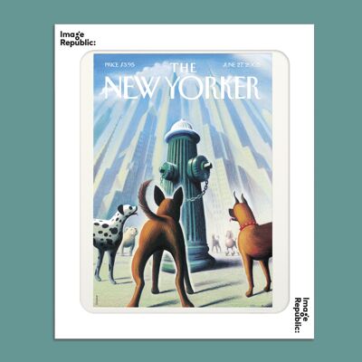 POSTER 40x50 cm THE NEWYORKER 200 DROOKER DOG'S EYE