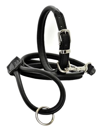 D&H Ensemble en cuir roulé pour chien aux couleurs traditionnelles 10