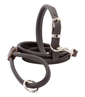 D&H Ensemble en cuir roulé pour chien aux couleurs traditionnelles 20