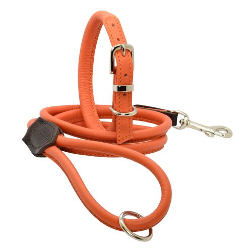 D&H Rolled Leather Set Dog in House Colours