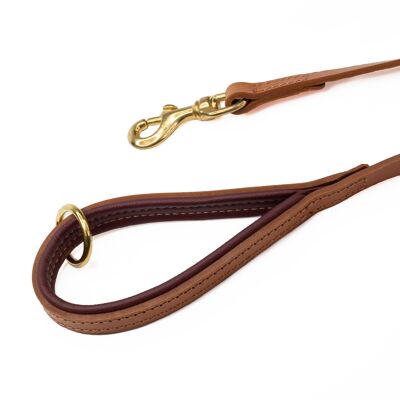 D&H Padded Leather Lead Dog in Autumn Winter Colours