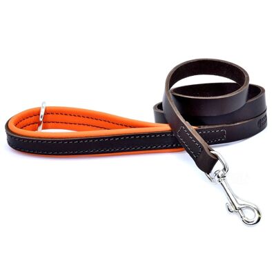 D&H Padded Leather Lead Dog in Hausfarben