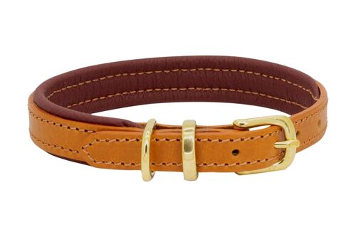 D&H Padded Leather Collar Dog in Autumn Winter Colours