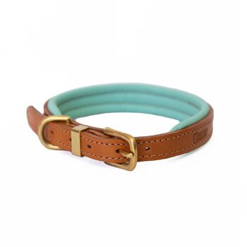 D&H Collier en cuir rembourré pour chien aux couleurs de l'automne et de l'hiver 4