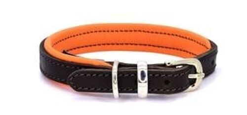 D&H Padded Leather Collar Dog in House Colours