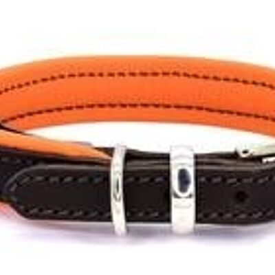 D&H Padded Leather Collar Dog in House Colours