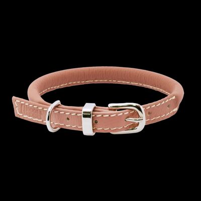 D&H Rolled Leather Collar Dog in Spring Summer Colours with brass
