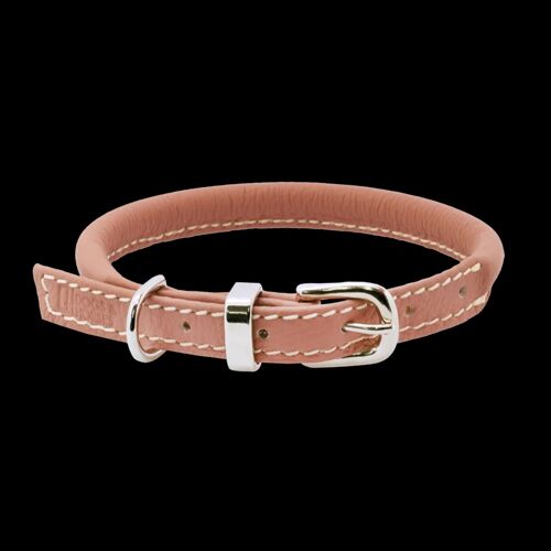 D&H Rolled Leather Collar Dog in Spring Summer Colours with silver