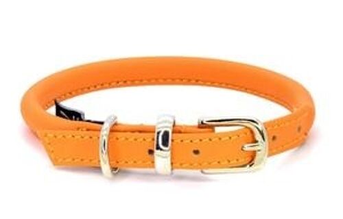 D&H Rolled Leather Collar Dog in House Colours