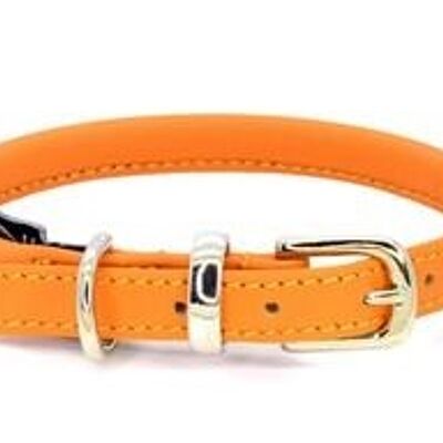 D&H Rolled Leather Collar Dog in House Colours