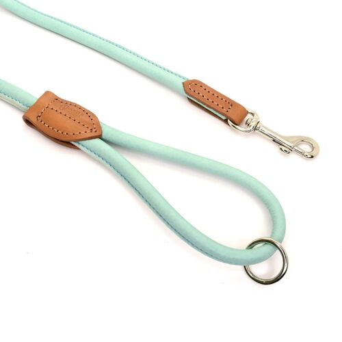 D&H Rolled Leather Lead Dog in Spring Summer Colours