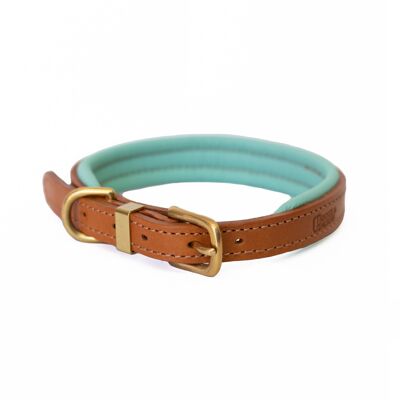 D&H Collar de Cuero Acolchado para Perro en Colores Primavera Verano