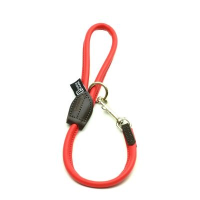 Big Dog Short Rolled Leather Lead