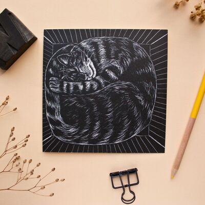 Postcard | Curled up cat