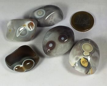 Agate à œil, taille L, Botswana, 3 pièces, rare