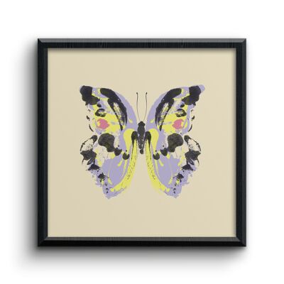 Papillon #1