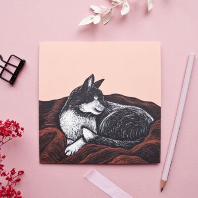 Postkarte | Katze auf Decke