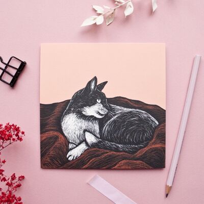 Postcard | cat on blanket
