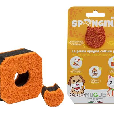 PET spongin