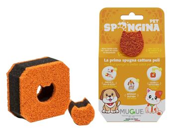 Spongine PET 1