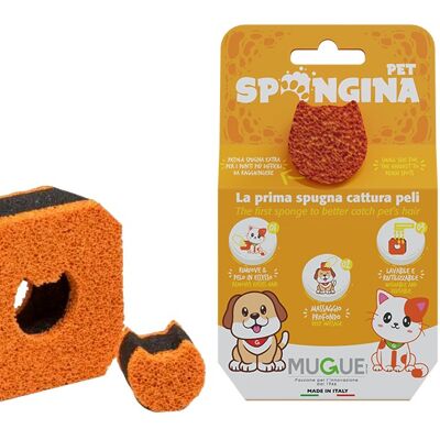 PET spongin
