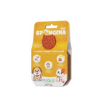 Spongine PET 2