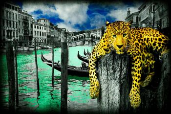 Tableaux sur toile tigre paysage animaux photos murales format paysage XXL - 75 x 50 cm 2