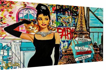 Toile Pop Art Femme Marques Tableaux Décoration Murale - Format Paysage - 75 x 50 cm 1