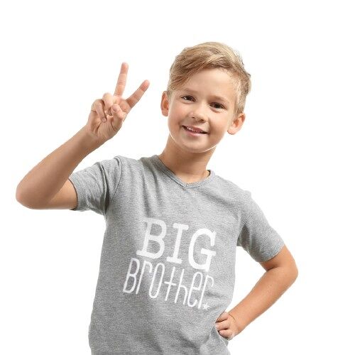 Big Brother T-shirt Grey