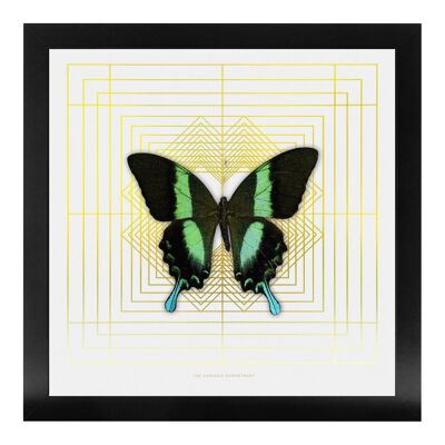 DECO SQUARE Green Swallowtail: gold/ white