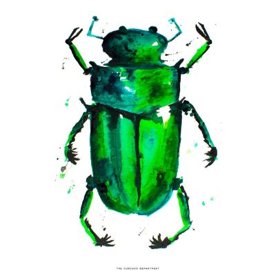 BEETLE IN THE RAIN: art print